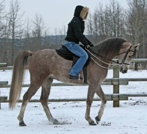 dec0207-21copy.jpg