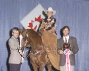 mastertopsidesaddle.jpg