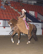 mastertopsidesaddlepass.jpg
