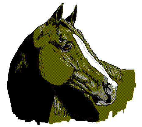 horse10.gif