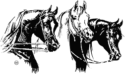 logo.gif