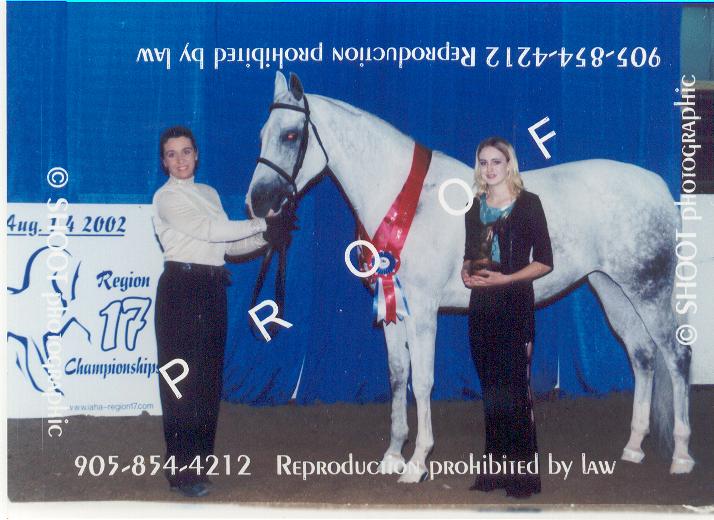 tesssporthorse2002champion.jpg